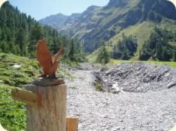 Der Bergwald-Lehrpfad in Samnaun